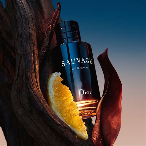 dior parfum uomo edizione limitata
